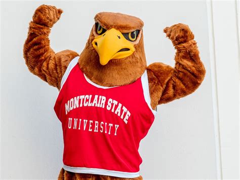 Meet Rocky the Red Hawk, the Montclair State mascot who uses social media to make allies of his ...