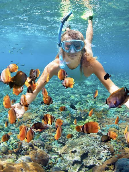 Snorkeling at Caño Island – Nativa MGMT