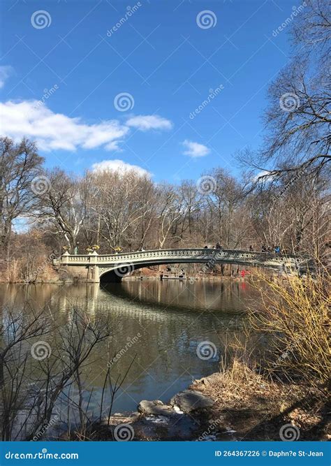 Central Park bridge stock photo. Image of travel, park - 264367226