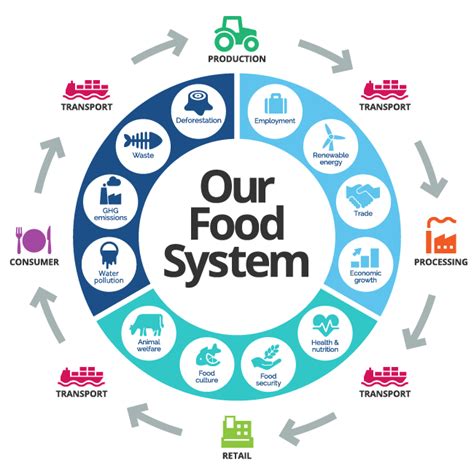 Food System Thinking. A food system is a beautifully… | by Gregory B. Odhiambo | Medium