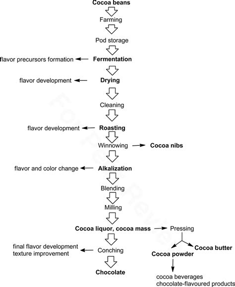 The processing of cocoa beans. | Download Scientific Diagram