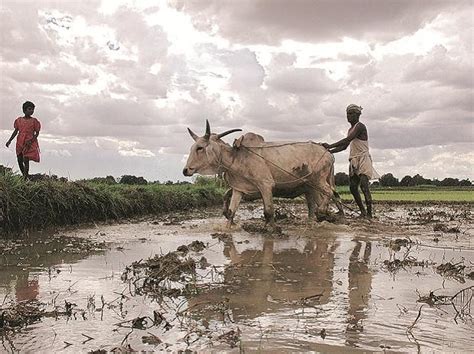 Tamil Nadu promulgates Ordinance to allow farmers to freely sell ...