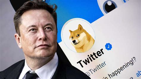 Why did Elon Musk change the Twitter logo to a Dogecoin cryptocurrency meme? - Doha News | Qatar