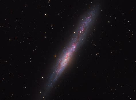 9 - SCIENCE - JoanMira: Irregular Galaxy NGC 55 - Astronomy picture of ...