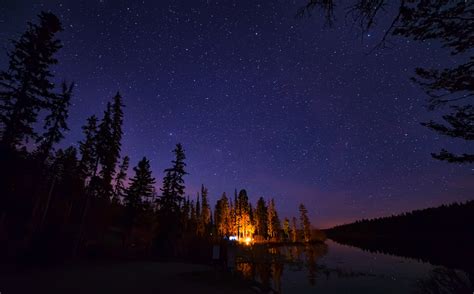 Pine Trees Under Starry Night Wallpaper,HD Nature Wallpapers,4k Wallpapers,Images,Backgrounds ...