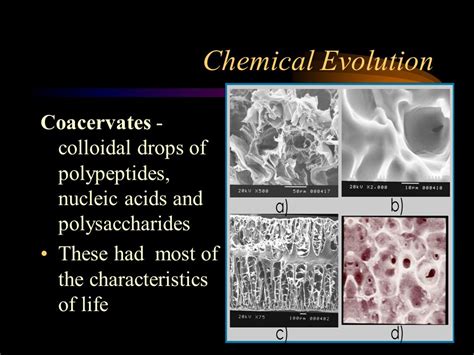 Chapter 26. The Origin of Life - ppt video online download