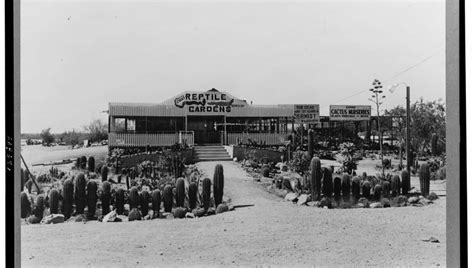 Historic Maricopa County photos