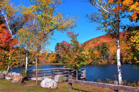 Woodward Reservoir - Plymouth, Vt Photograph by Joann Vitali