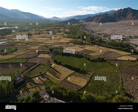 Irrigated farmland along the river Indus, as seen from the rooftop of ...