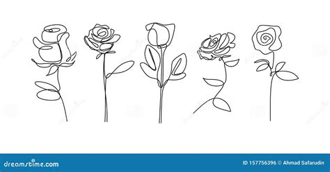 Rose Flower Continuous Line Drawing Single Hand Drawn Set Element Collections. Minimalism Floral ...