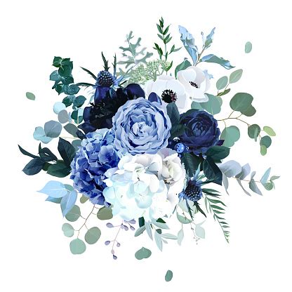 Royal Blue Navy Garden Rose White Hydrangea Flowers Anemone Thistle Stock Illustration ...