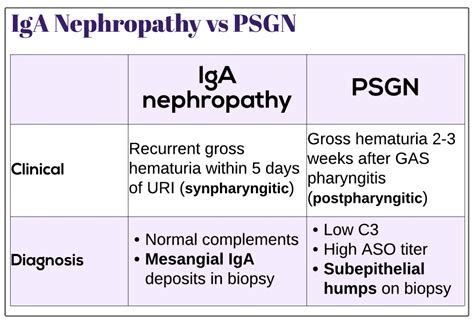 IgA Nephropathy vs PSGN - Medicine Keys for MRCPs