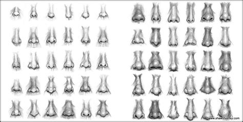 The Biologian: Nose Hairs in Humans - An Idle Evolutionary Speculation