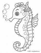 Joli coloriage D’un hippocampe À Imprimer Gratuitement Ou Colorier En  sketch template