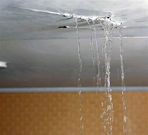 Have a Leaky Roof? We’re Here for You 24/7! – Victoria Roofers