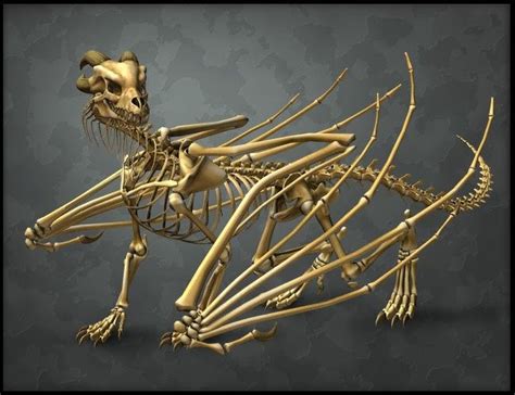 The Bone Dragon by Sequestrian and Brady Dalton | Cool mythical creatures, Dragon images, Dragon ...