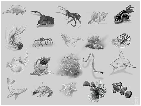 Sea Creatures Drawing Images ~ Sea Creatures Drawing At Getdrawings ...