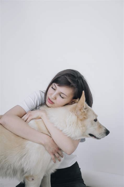 How to prevent your dog health problems - Dog Wagging