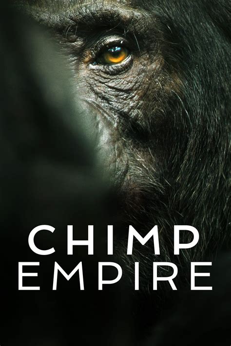 Chimp Empire: Season 1 | Where to watch streaming and online in Australia | Flicks