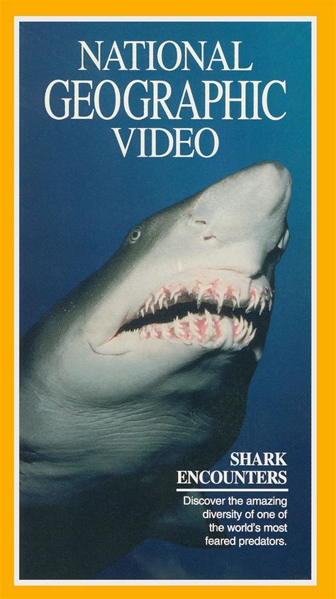 "National Geographic Explorer" Shark Encounters (TV Episode 1993) - IMDb