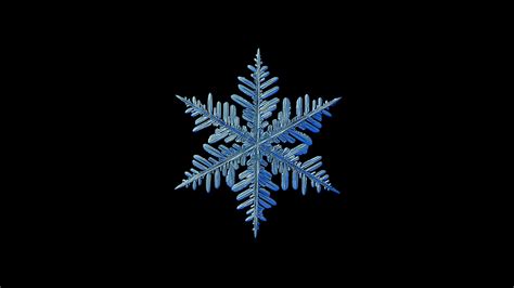 Snowflake isolated on black background - Real snowflake, isolated on ...