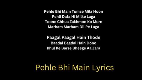 PEHLE BHI MAIN Lyrics | Ranbir Kapoor, Tripti Dimri Animal Amazing Song 2023