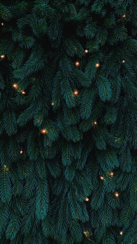 Aesthetic Christmas Tree Wallpapers - Wallpaper Cave