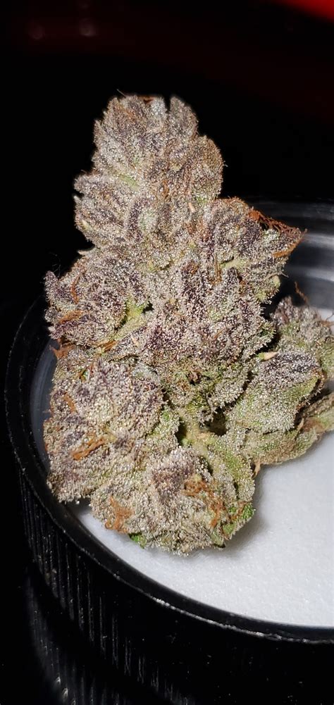 Rainbow Runtz Marijuana Strain Information & Reviews | AllBud