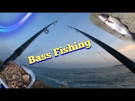 Sea bass fishing – Bass Manager | The Best Bass Fishing Page On The ...