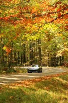 Scenic Drives - Allegheny National Forest Visitors Bureau