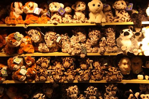 Stuffed Animal Shelves at The Bronx Zoo Store, NYC | Flickr