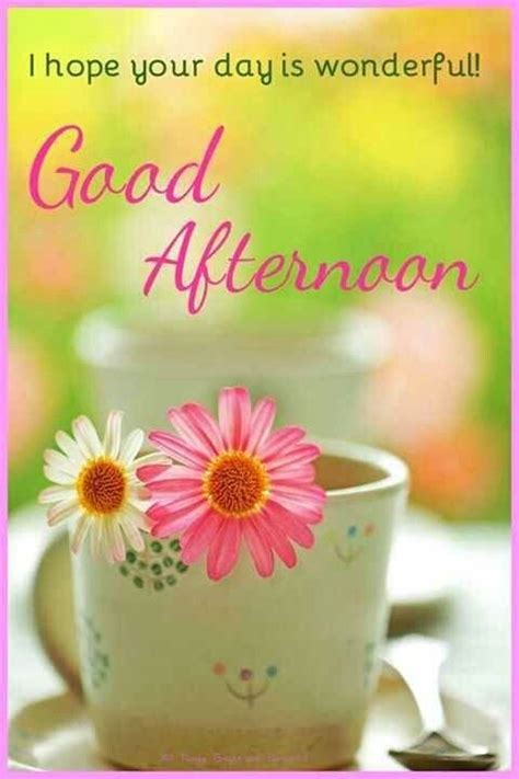 Good Afternoon … | Good afternoon quotes, Afternoon quotes, Good afternoon