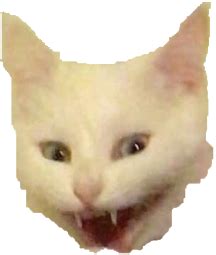 cat - Discord Emoji