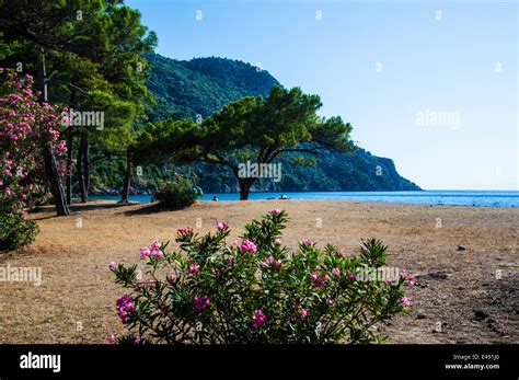 Iztuzu Plaji (Turtle beach) Dalyan, Turkey Stock Photo - Alamy