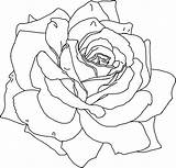 Free Printable Flower Coloring Pages For Kids  Best sketch template