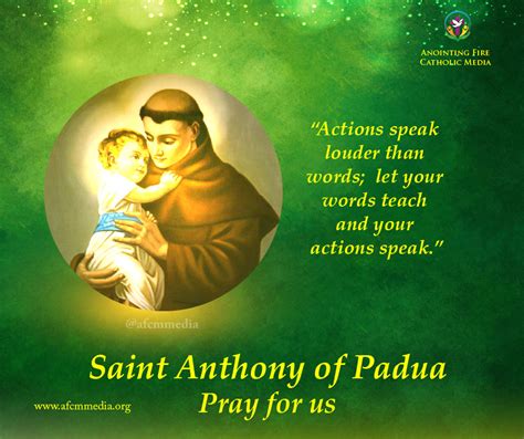 St Anthony Feast Day 2024 - Lucie Robenia