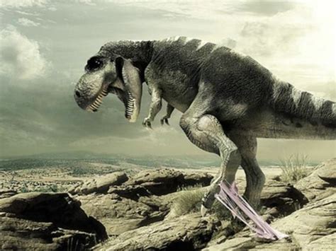 Free Dinosaur wallpaper | 1600x1200 | #78032