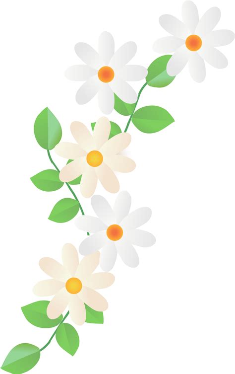 daisy border frame 16384076 PNG