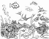 Coloring Pages Fish Tank sketch template