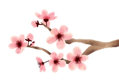 How to Draw Cherry Blossoms | Design School