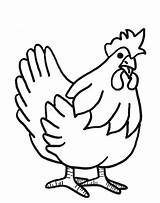 Hens coloring Pages Download And Print For Free sketch template