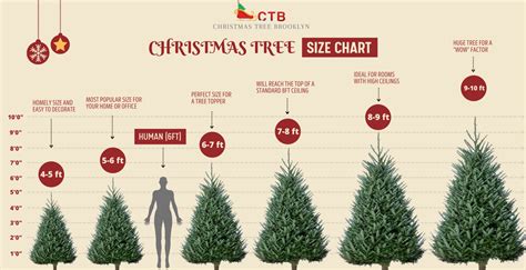 How To Choose The Right Christmas Tree Size? – Christmas Tree Brooklyn