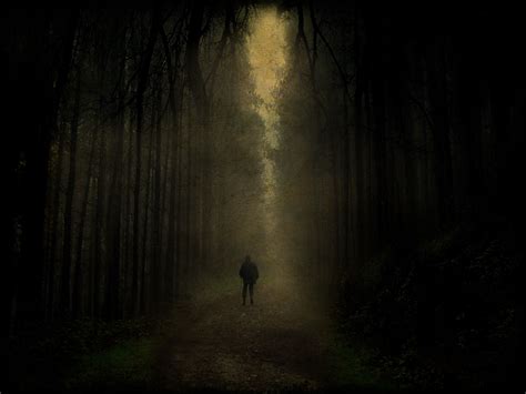 a person walking down a dark path in the middle of a forest with trees ...