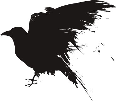 Raven PNG Vector Images with Transparent background - TransparentPNG