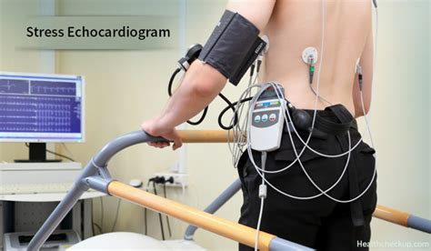 Echocardiogram Stress Test Indications, Prep, Procedure And Results