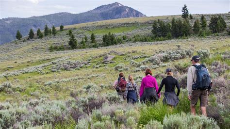 The 5 best hikes at Yellowstone National Park