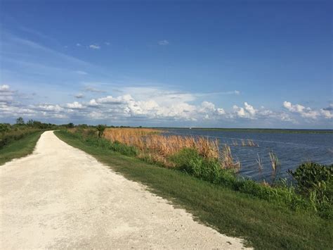 Lake Apopka Loop Trail Mountain Bike Trail, Paradise Heights, Florida