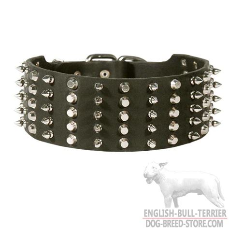 Get Extra Wide Leather Bull Terrier Collar | Spiked Studded