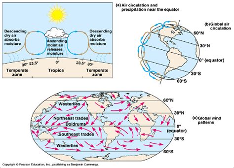 -The diagram shows air circulation and global wind patterns. Wind is... | Download Scientific ...