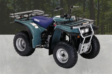 Yamaha Timberwolf 250 4x4: Top Speed and Specs | Off Road Ranker